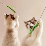Kimpets Cat Dog Tail Grass Dog Sage Feather Long Pole Cat Teasing Stick Bite Resistant Self Soothing Tool Cat Toy Pet Supplies - Image 11