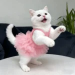 New Breathable Puppy Slip Dress Soft Lace Hem Cat Sleeveless Dress Comfortable Summer Pet Princess Dress for Small Dog Cat - Image 2