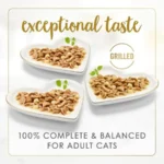Purina Delights with Cheddar Grilled Chicken, Turkey or Whitefish and Cheddar Cheese Feast in Gravy Wet Cat Food Variety Pack - - Image 4