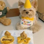 Adorable Dog Cat Puppy Birthday Hat & Bandana Set Cat Dog Accessories Pet Birthday Supplies - Image 3