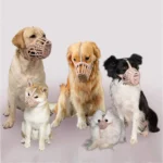 Softness Plastic Dog Muzzle Anti Bite Adjustable Pet Basket Dogs Training Mouth Cover Mesh Cage for Small and Large Dogs Care