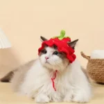 Cat Hats Elastic Cute Puppy Kittens Hat Headwear Photo Shoot Props Cat Accessories - Image 3