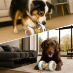 Interactive Dog Treat Dispenser Toy Dog Puzzle Rolling Leak Food Ball Toy Durable Chew Tooth Healthy Ball Suitable for All Breed - Image 6