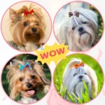 30PCS Dog Bow With Rubber Band Dog Hair Accessories Handmade Movable Puppy Bows For Dogs and Cats Cute Pet Accessories - Image 2