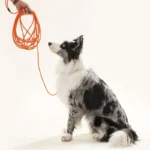 Waterproof PVC Long Dog Training Leash 5/10/20/30ft Durable Round Pet Lead Easy Clean Soft Handle for Small Large Dogs - Image 2