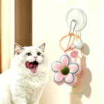Natural Catnip Healthy Pet Cat Toy Wall Stick-on Ball Cats Teeth Cleaning Catnip Ball Toys Cat Snacks Kitten Cat Catnip Toy - Image 6