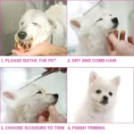 Safe and Precise Professional Pet Grooming Scissors with Round Head - Stainless Steel Dog Hair Shears for Effortless Trimming - Image 9