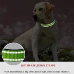 Choker Small Dog Collar Puppy Neck Collars for Dogs Big Decorative Dog Collar GXQ07 - Image 3