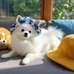 Adjustable Dog Hat Cute Print Cap for Puppies and Small Breeds, Pet Sun Protection Hat for Walking Outdoor Activities - Image 5