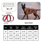 Escape-Proof Nylon Dog Harness with Handle Adjustable No-Pull Pet Harness for Medium Large Dogs Golden Retriever Husky Supplies - Image 6