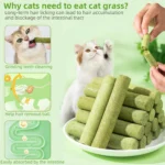 6/60Pack Cat Natural Grass Treat Sticks for Hairball Removal Chicken Catnip Teething Chew Toys for Teeth Cleaning Kitten Snack - Image 5