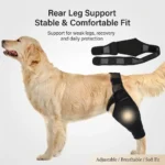 Adjustable Dog Rear Leg Brace Knee Joint Support Wrap for Large Dogs Hind Leg Protector Recovery Sleeve for Injury Arthritis - Image 2