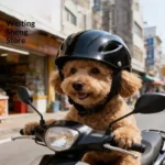 C Fashion Durable Plastic Pet Dog Helmets Ventilated Holes Adjustable Helmet Pet Puppy Toy Hat Pet Safety Helmet Pet Accessories - Image 4