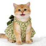 1 Pc Pet Dress Dog&Cat Summer Dress Yomantic Floral Pattern Suitable For Birthday Wedding Party Outfits - Image 3