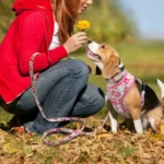 Nylon Printed Dog Collar Harness Leash Mesh Puppy Cat Vest Personalized Pet Collars Anti-lost For Small Medium Dogs Cats Pink - Image 5