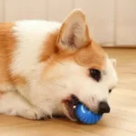 Dog Toy Ball Automatic Moving Bouncing Rolling Ball USB Smart puppy Interactive Dog Chew Toy Ball - Image 3