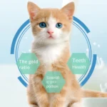 Cat Grass Teeth Grinding Stick Pet Snack Hairball Removal Sticks Ready To Eat Cat Baby Teeth Cleaning Stick Improve Digestion - Image 6