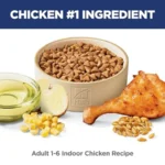 Adult 1-6 Indoor Dry Cat Food, Chicken, 15.5 lb. Bag - Image 3