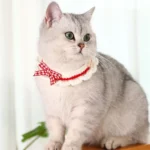 Cute Pet Cat Saliva Towel Hand-knitted Adjustable Kitten Cat Puppy Bow-knot Collar Pet Cat Decorative Collar Kitten Accessories - Image 3