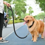 4.5ft Heavy Duty Large Dog Leash Durable Nylon Braided Lead for Small Medium Big Dogs Walking Hunting Camping Pet Accessories - Image 3