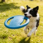 Dogs EVA Flying Disc Tooth Chew Play Train Toy Indestructible Pet Supplies Toys Large Safe Small Dog Joint Tough Toys Resistant - Image 2