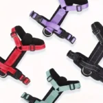 Anti-Escape Dog Harness with Handle Reflective Nylon Dog Harness Vest for Small Medium Dogs French Bulldog Walking Pet Supplies - Image 3