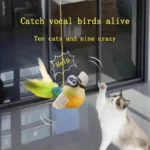 1-3Pcs The pet cat toy emulates the sound bird to amuse the cat elastic rope to relieve boredom and resist scratching and biting - Image 8