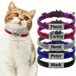 Glitter Cat Safety Buckle Collar Adjustable Custom Personalized ID Free Engraving Nylon Puppy Kittens Necklace