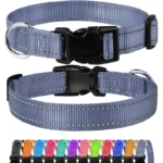 Choker Small Dog Collar Puppy Neck Collars for Dogs Big Decorative Dog Collar GXQ07 - Image 6