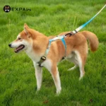 Adjustable Nylon Dog Harness Fashion Chest Vest No Pull Pet Puppy Harness for Small Medium Large Dogs Corgi Dog Supplies - Image 3