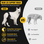 Adjustable Dog Rear Leg Brace Knee Joint Support Wrap for Large Dogs Hind Leg Protector Recovery Sleeve for Injury Arthritis - Image 3