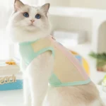 Dog Summer Vest Girls Dog Costume Fashion Dog Cooling Clothes Chihuahua Bichon Yorkie Puppy T Shirts New Mesh Sunscreen Clothing - Image 3