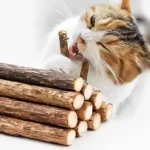 5-50pcs Catnip Stick Pet Cat Molar Toys Natural Wood Polygonum Sticks Cleaning Teeth Relieve Boredom Snacks Chews Toys