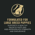 Sport Development Large Breed 30/18 Chicken and Rice High Protein Dog Food Dry Puppy Formula, 18 lb Bag - Image 4