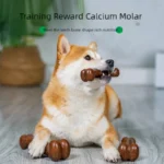 Natural Non-Toxic Indestructible Dog Bone Chew Toy Anti-Bite Puppy Teething Chew Toy for Small Medium Large Dogs Pet Chewbone - Image 2