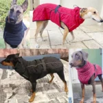 Dog Outdoor Jacket Waterproof Reflective Pet Coat Vest Winter Warm Cotton Dogs Clothing for Large Middle Dogs Labrador - Image 6