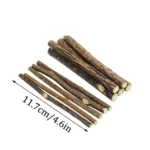 20pcs Natural Matatabi Cat Catnip Toy Kitten Molar Chew Stick Pet Cleaning Teeth Cat Treat Toy Actinidia Silvervine Pet Products - Image 5