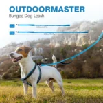 Bungee Dog Leash, Heavy Duty Dog Leash with Shock Absorption, 2 Padded Handles Training Leash, Improved Dog Safety and Comfort - Image 2