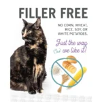 "" Nude Food Poultry a Plenty Dry Cat Food, 5 lb - Image 5