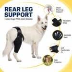 Adjustable Dog Rear Leg Brace Knee Joint Support Wrap for Large Dogs Hind Leg Protector Recovery Sleeve for Injury Arthritis