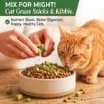 6/60Pack Cat Natural Grass Treat Sticks for Hairball Removal Chicken Catnip Teething Chew Toys for Teeth Cleaning Kitten Snack - Image 3