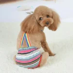 Female Dog Sanitary Panties Breathable Strap Type Reusable Washable Pet Diaper Shorts Summer Thin Heat Period for Teddy Dogs - Image 5