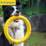 Dog Ring Toys Indestructible Chewing Flying Floating Training Tools Fetch for Small Medium Large Dogs Throwing Catching Flying