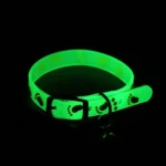 Luminous Cat Necklace Glowing Small Dog Cat Collar Anti-Loss Fluorescent Silicone Cat Bell Collar Neck Ring Pet Cat Accessories - Image 2