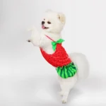 Dog Dress with Bow Summer Clothes Cute Small Dogs Skirt Suspender Watermelon Pattern Pet Clothing Puppy Dresses Cat Costumes - Image 2