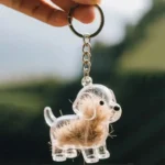 Clear Pet Hair Memorial Capsule DIY Dog Fur Keepsake Pendant for Keychain Puppy Hair Storage Container for Pet Lovers Gift - Image 6