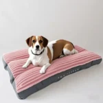 Big Dog Mat Corduroy Pad for Medium Large Dogs Oversize Pet Sleeping Bed Big Thicken Dog Sofa Removable Washable Pet Supplies - Image 6
