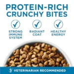 High Protein, Natural Senior Dry Cat Food, Indoor Advantage Senior+ - 7 Lb. Bag - Image 6