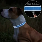 Pet Dog Collar Nylon Reflective Neck Collar for Small Medium Large Dog Pet Leash Collars for Dog Supplies Pet Accessories - Image 2