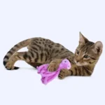 Cat Toy Cute Octopus Plush Toy Bite Resistant Teeth Interactive Play Pet Supplies Cat Dog Toys Octopus - Image 2